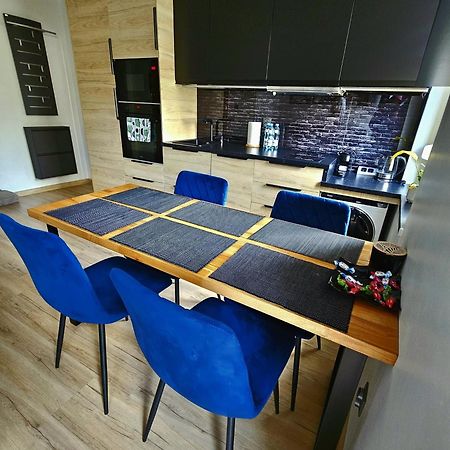 Apartament Radiostacja III Z Ogrodkiem, Parking Free グリヴィツェ エクステリア 写真